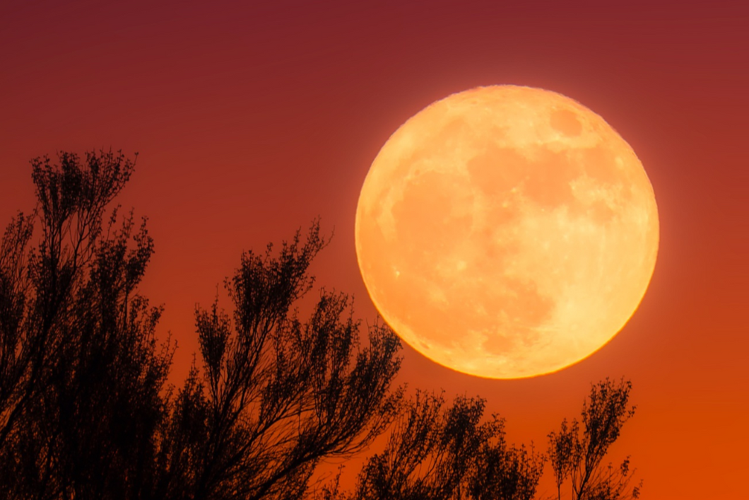 October - Witching Hour Whispers: Pumpkin Moon Spell